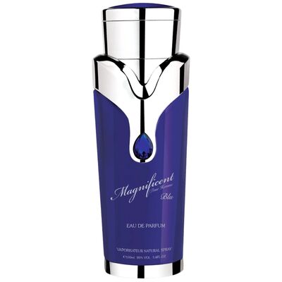 Armaf Magnificent Blue Pour Homme edp 100ml
