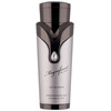 Armaf Magnificent Pour Homme edp 100ml