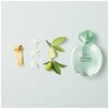 Giorgio Armani Acqua Di Gioia edp 100ml