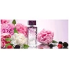 Lalique Amethyst Eclat edp 50ml
