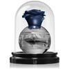 Lattafa Perfumes Pride Thouq edp 80ml