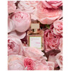 Maison Francis Kurkdjian A La Rose edp 70ml