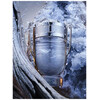Paco Rabanne Invictus edt 100ml