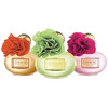 Coach Poppy Citrine Blossom edp 100ml