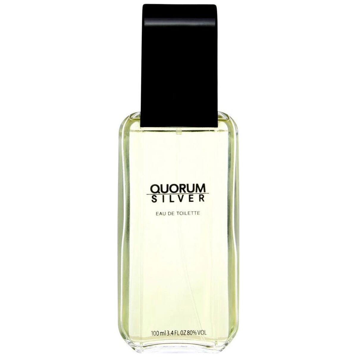Antonio Puig Quorum Silver edt 100ml