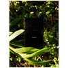 Sora Dora Vanuatu Extrait de Parfum 50ml