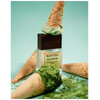 Theodoros Kalotinis Matcha Helado Extrait de Parfum 50ml