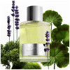 Tom Ford Beau De Jour edp 100ml
