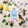 Versace Pour Homme edt 50ml