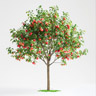 Árbol de Manzano