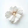 Flor de Gustavia