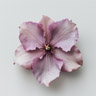 Flor de eléboro