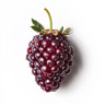 Loganberry