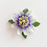 Flor de la Pasión
