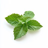 Pachuli (Verde)