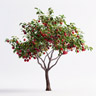 Árbol de Ciruelo