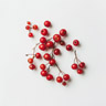 Frutos Rojos